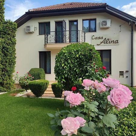 ホテル Casa Alina デヴァ エクステリア 写真