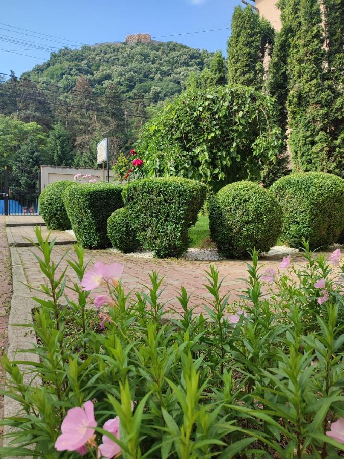ホテル Casa Alina デヴァ エクステリア 写真