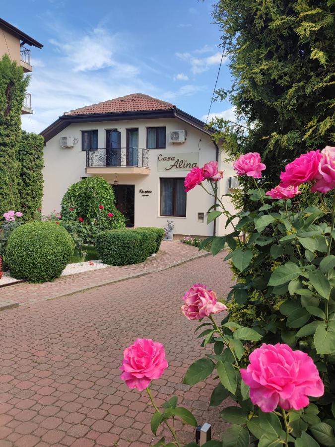 ホテル Casa Alina デヴァ エクステリア 写真