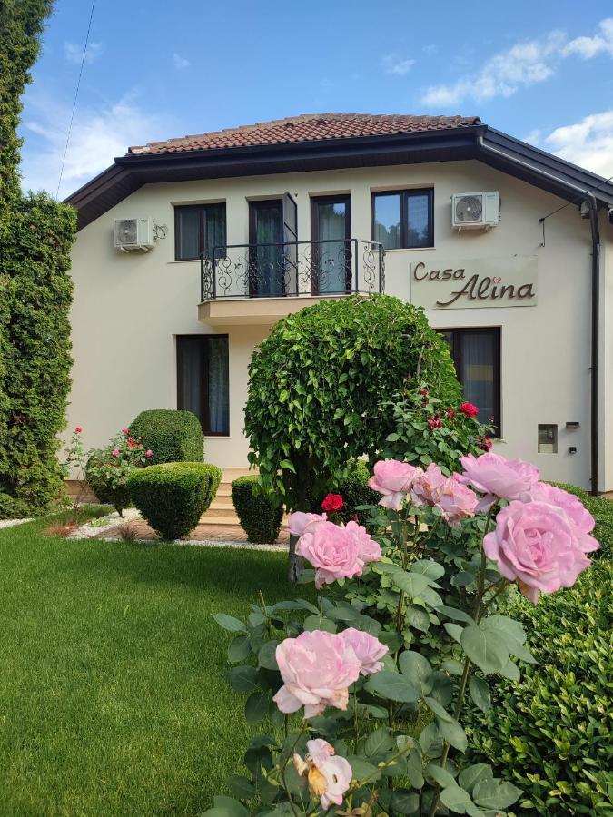 ホテル Casa Alina デヴァ エクステリア 写真